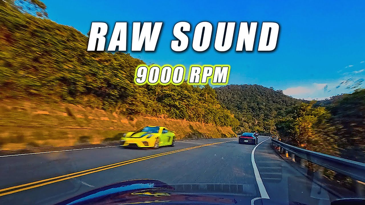 991 GT3 RS Hunting 992 Carrera (Hood Cam) | 9000RPM Flat-6 Scream