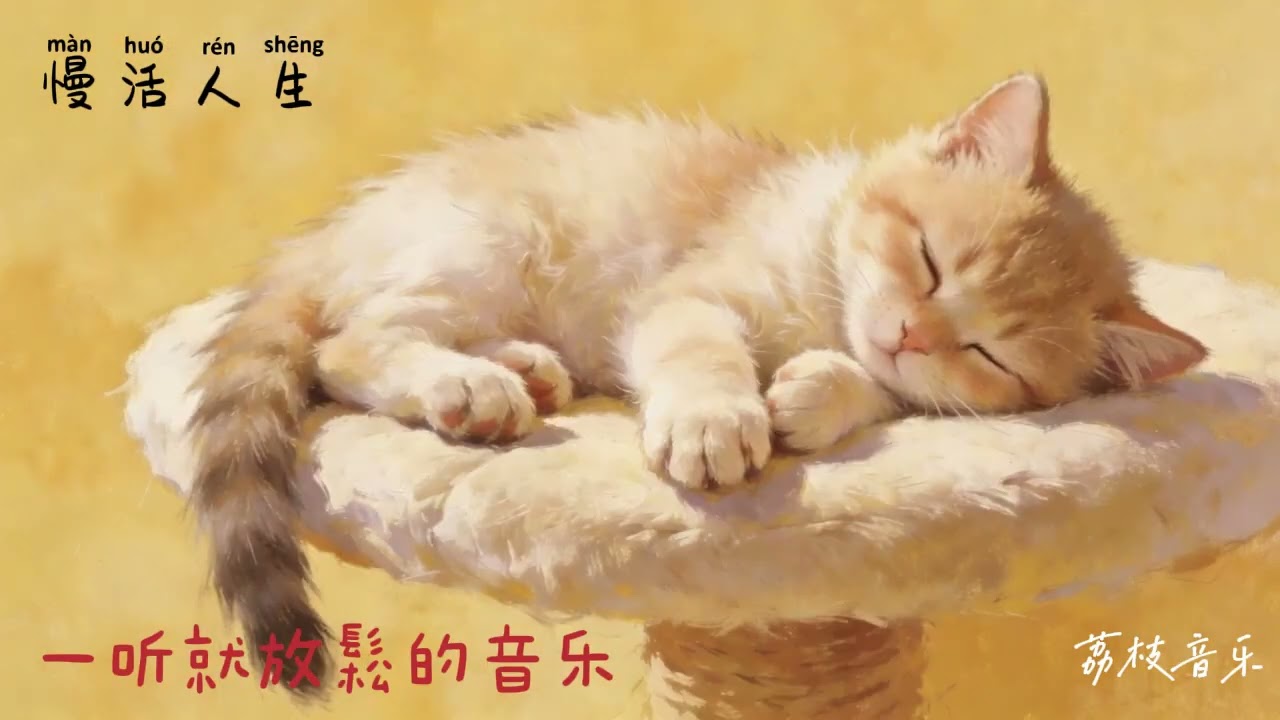 喵Lofi | 浮光掠影間，只想做一隻懶洋洋的貓🐈