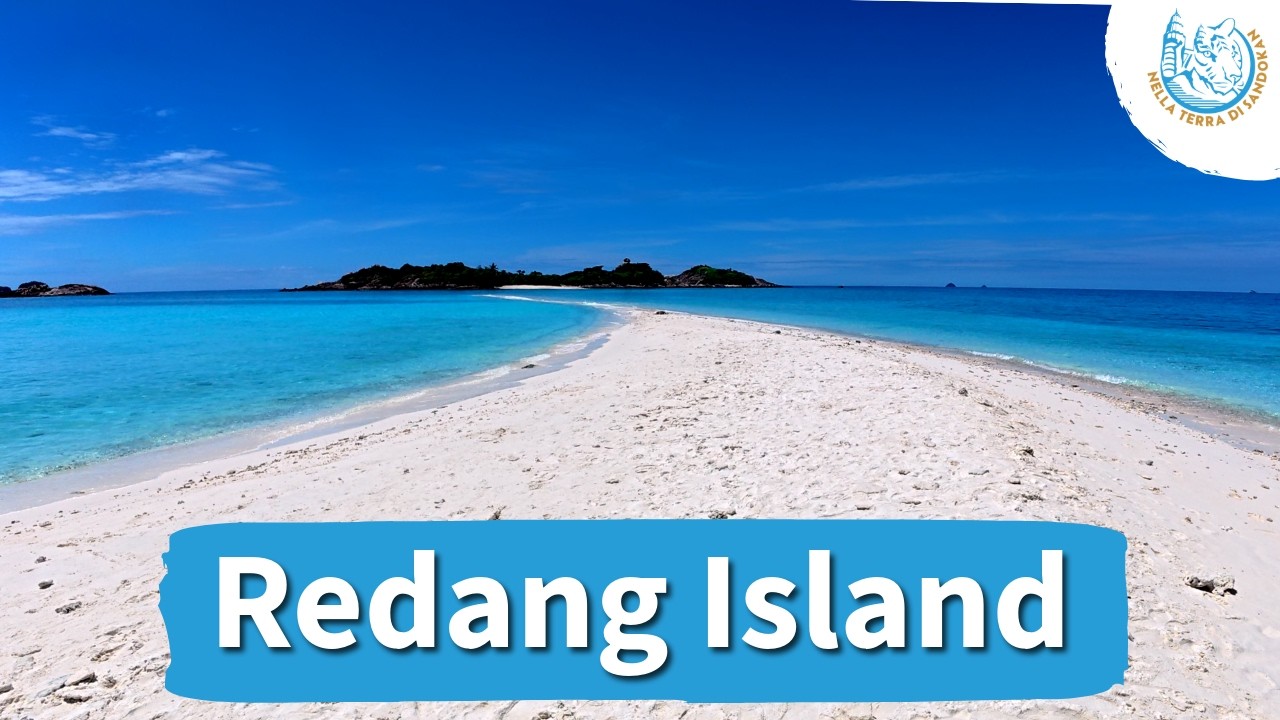 Redang Island: cosa vedere tra snorkeling, tartarughe e spiagge da sogno