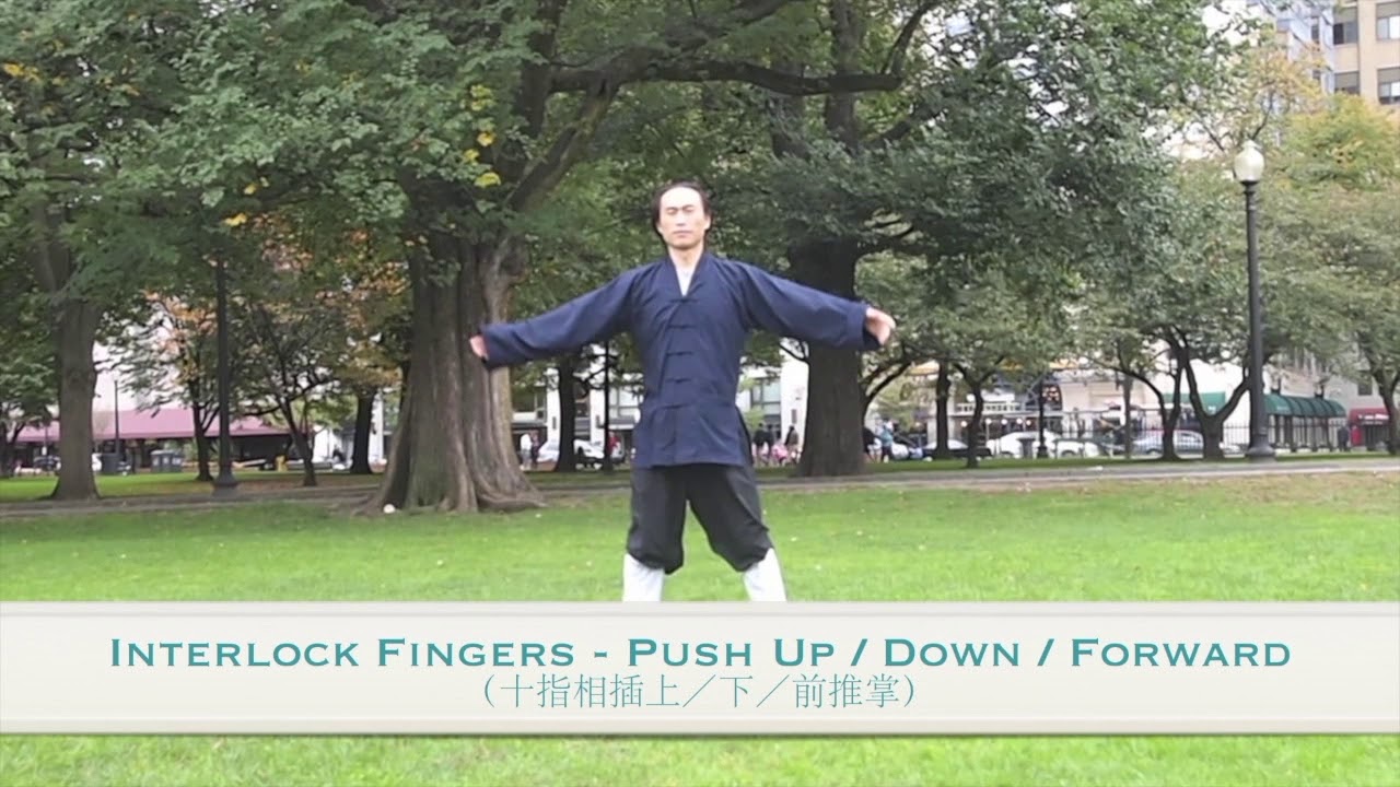Tai Chi 28 Lesson 2