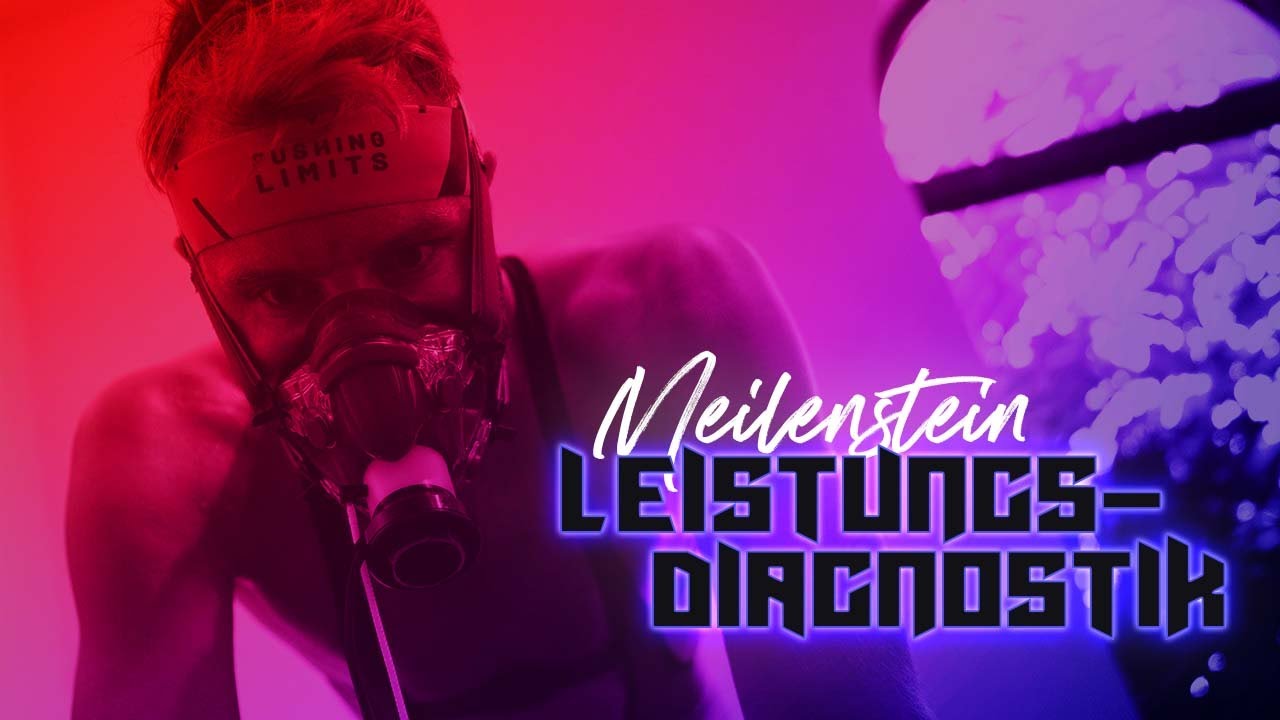 PRO:ject Meilenstein #1 - LEISTUNGSDIAGNOSTIK zur Standortbestimmung
