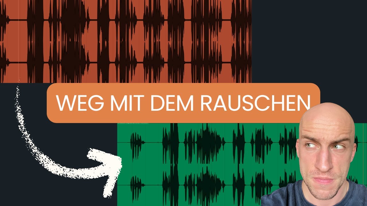 Rauschen aus Sprachaufnahme entfernen | NS1 für Sprecher