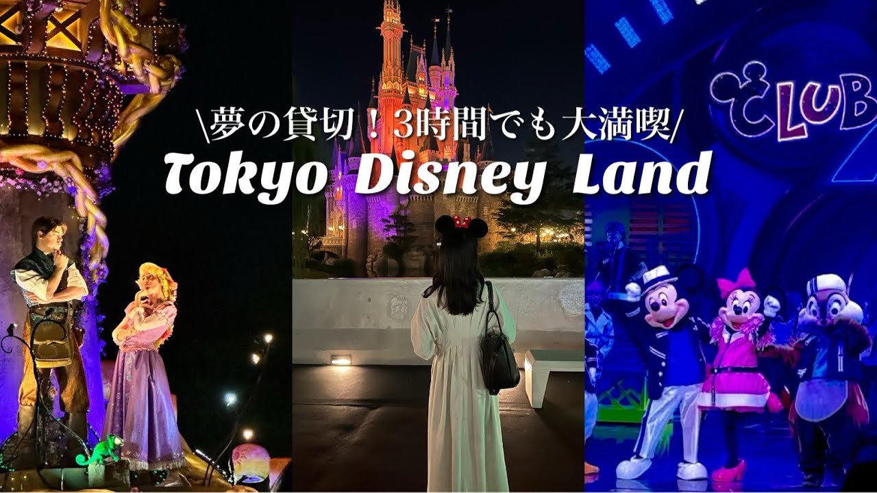 貸切ディズニーvlog🏰✨ショー全制覇！？美女＆ベイマも乗れた大満足ルート【プリマハム】