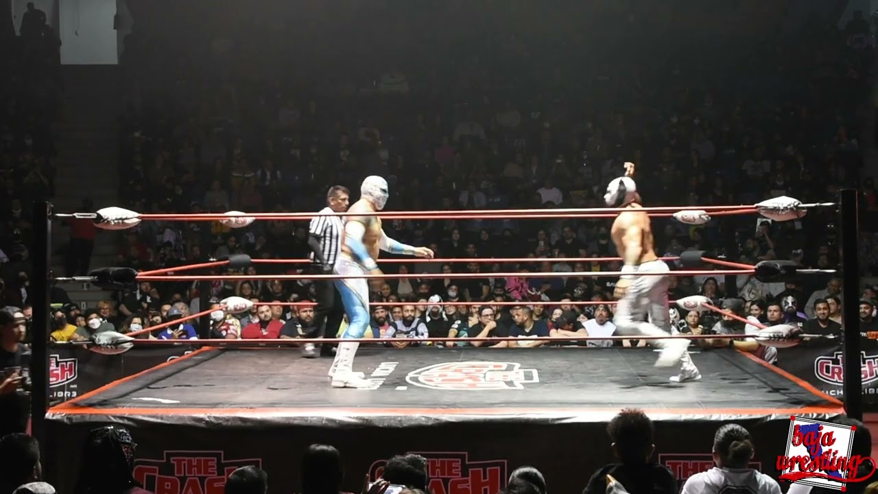 PENTA ZERO M VS CINTA DE ORO VS LINCE DORADO