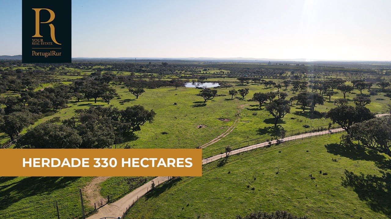 Herdade com 330 ha para venda em Portalegre | REF. 918