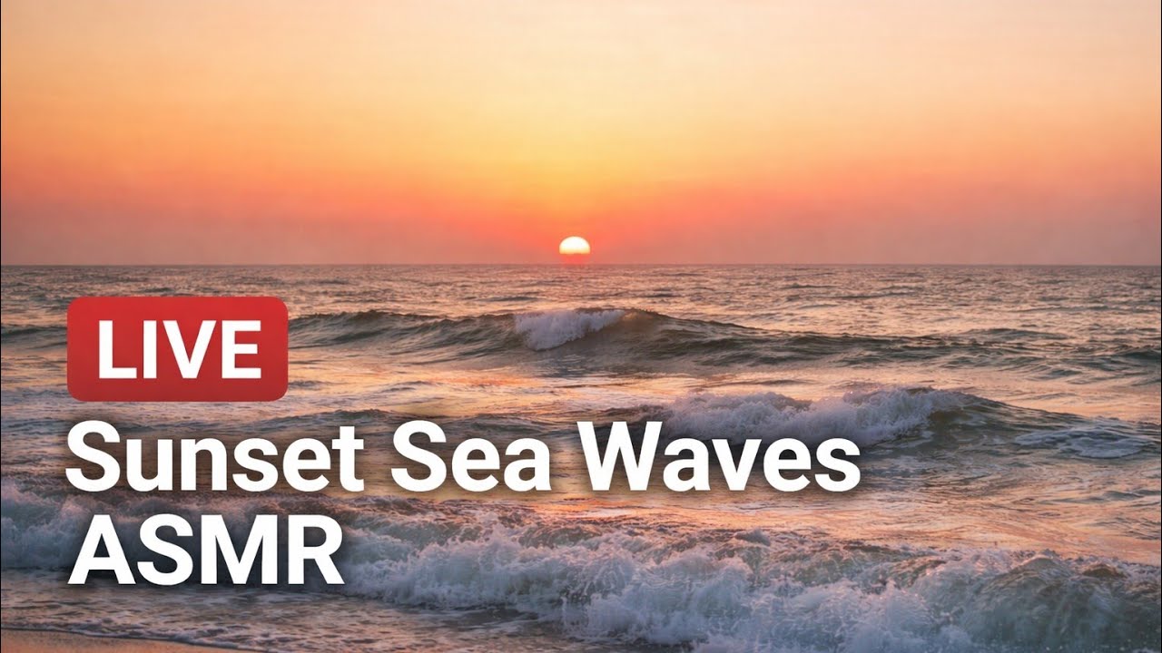 Music for Relaxation and Stress Relief 🌿 Calm Background Sounds