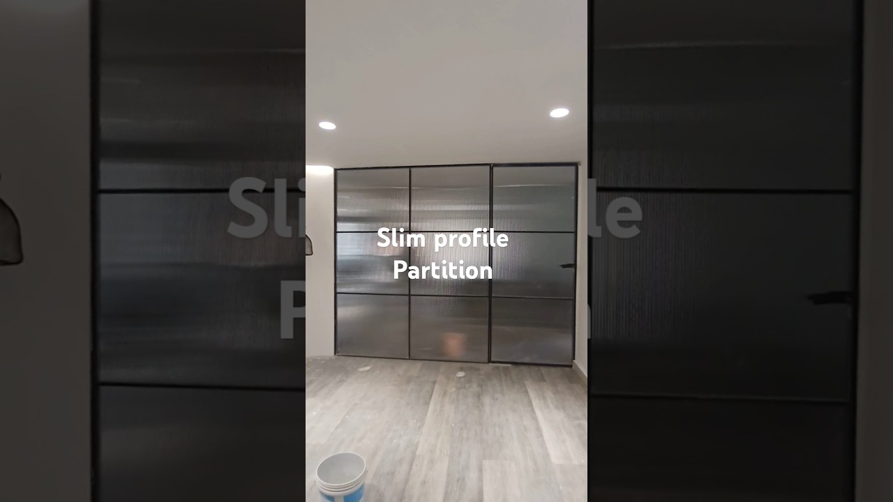 Glass Office partition door slim profile