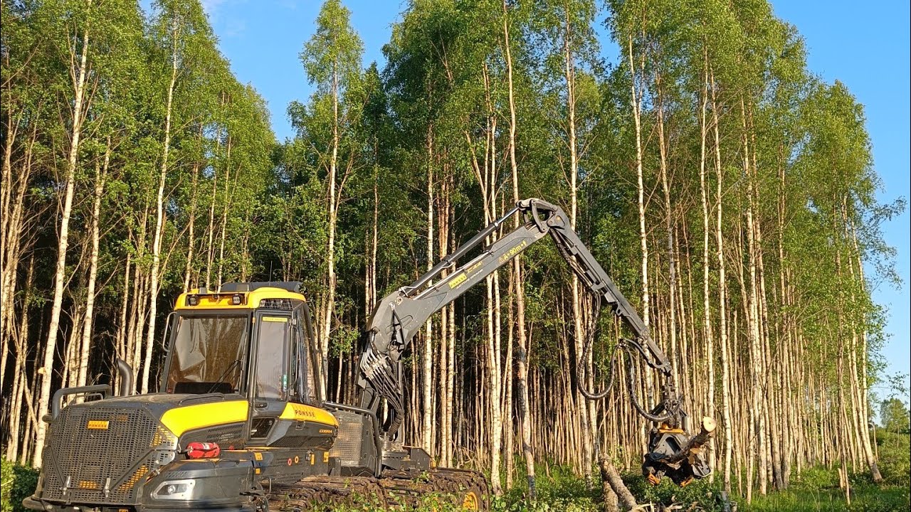 koivikon avohakkuu Ponsse Cobra Active Crane H6