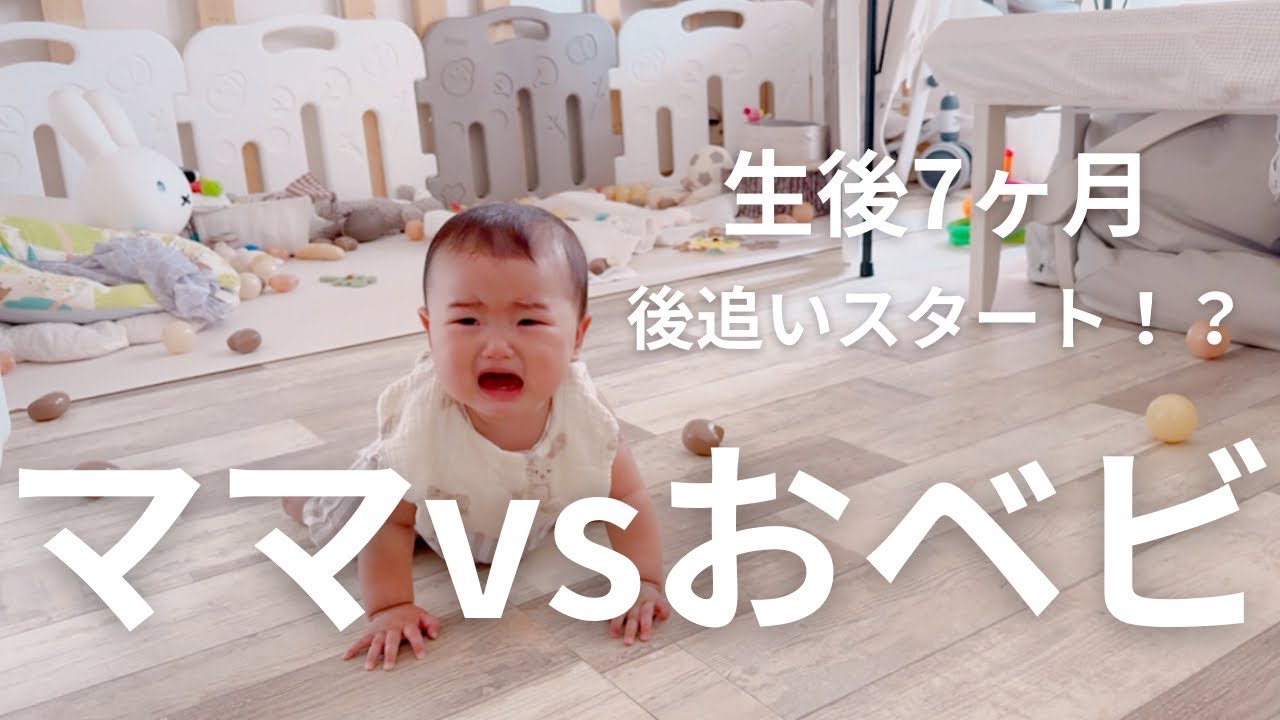 生後7ヶ月【後追いスタート！？】家事をしたいママvsママを翻弄する👶おベビ