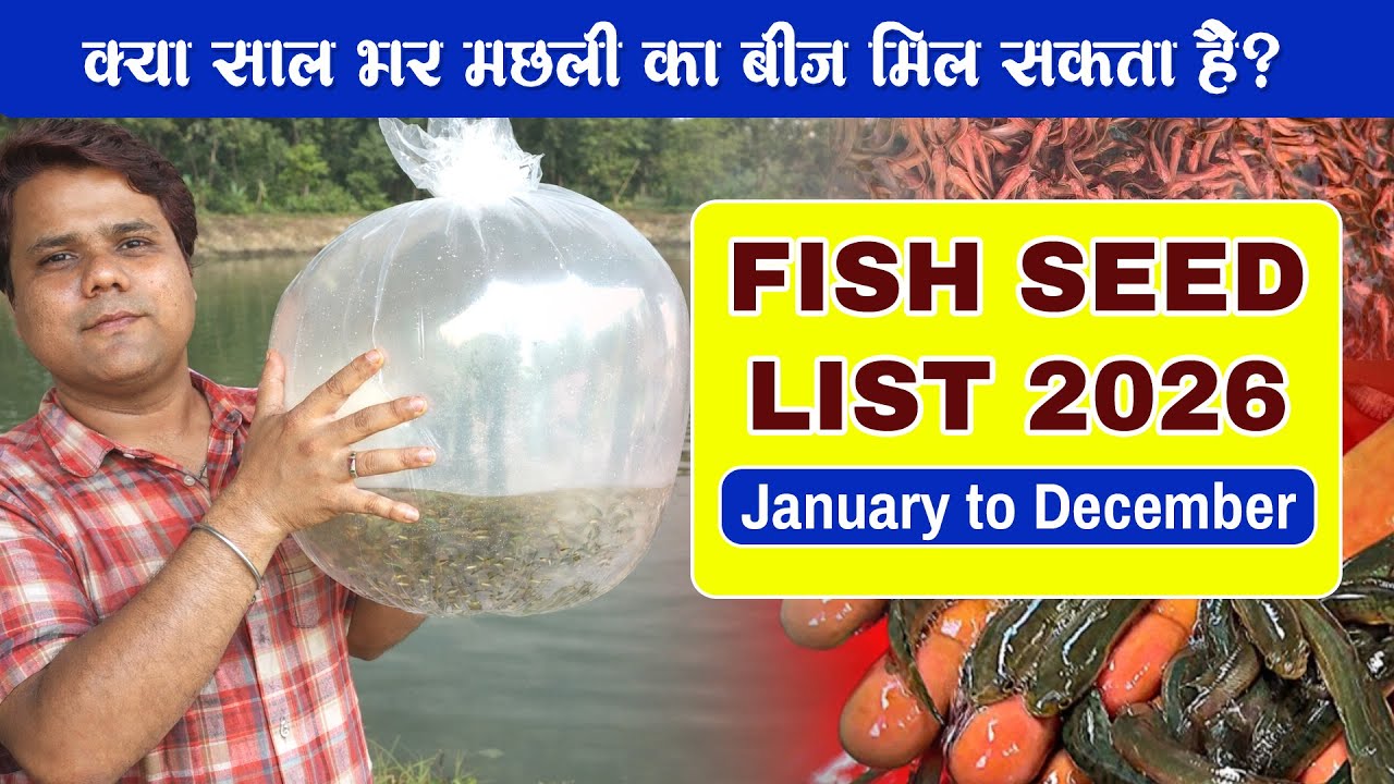 Fish Seed 2026- हर महीने मछली का बीज कैसे पाएं? - Buy Fish Seed at best Price in 2026
