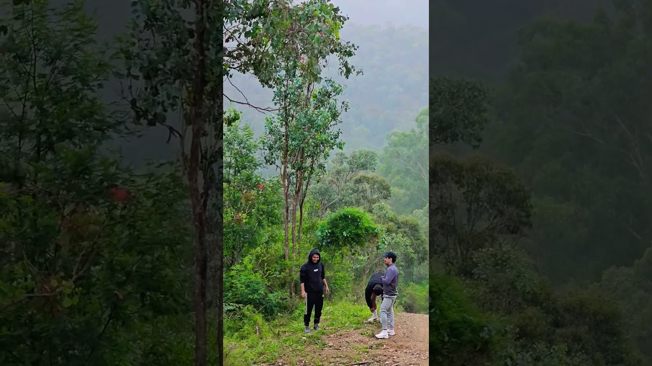 Ghumne Jaya karo Dost | Wilderness walk talk