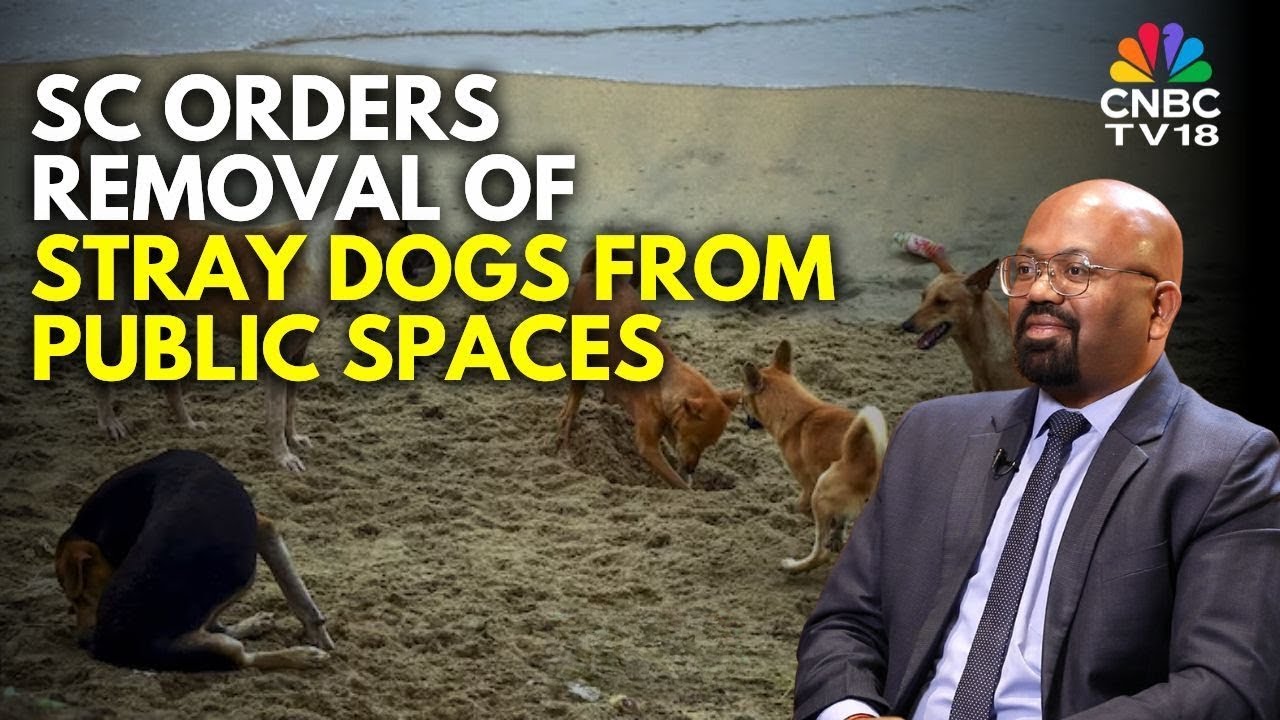 Supreme Court Orders Removal Of Stray Dogs From Public Spaces | Top Court On Stray Dogs | CNBC TV18
