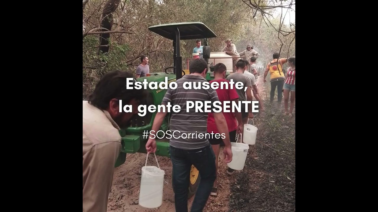 estado ausente