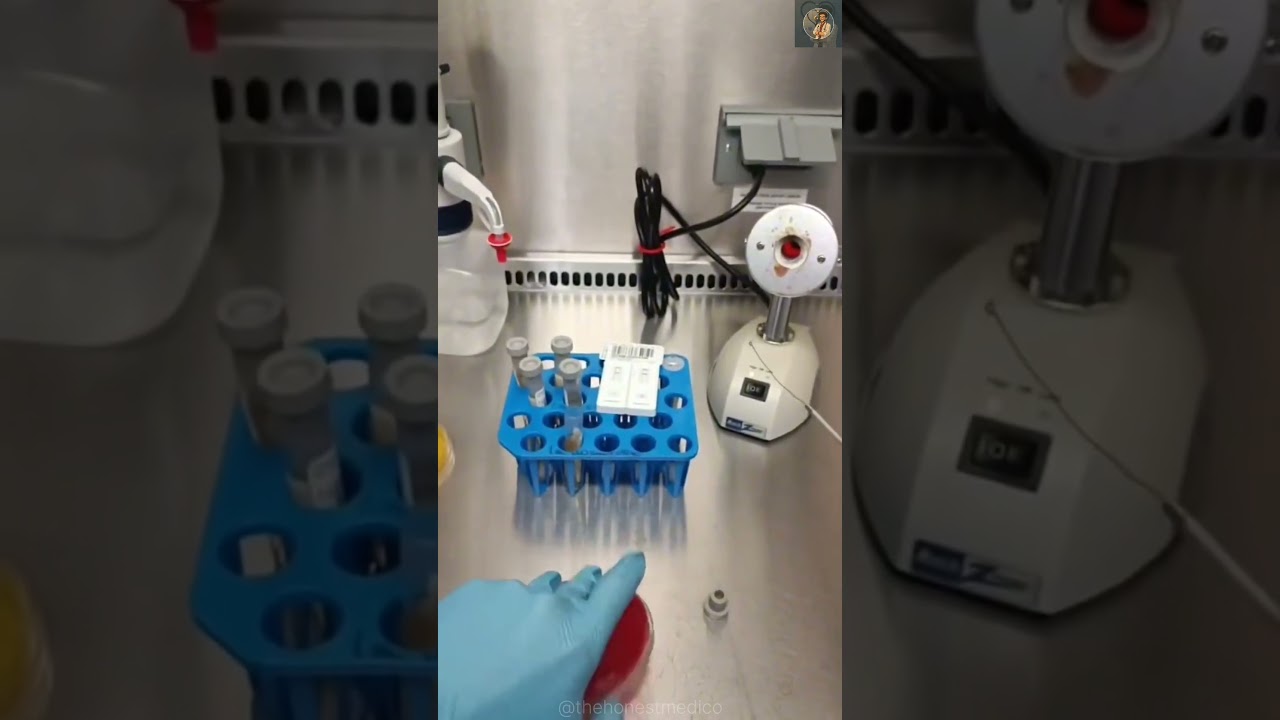 Medical College Lab #song #love #music #aiimsdelhi #funny #neetaspirents #neet #mbbs #viral #shorts