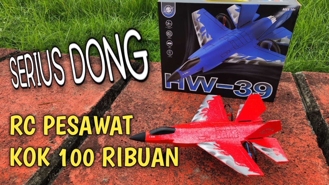 BISA DIADU kualitas terbang pesawat RC F22 2 channel pabrikan HW 39