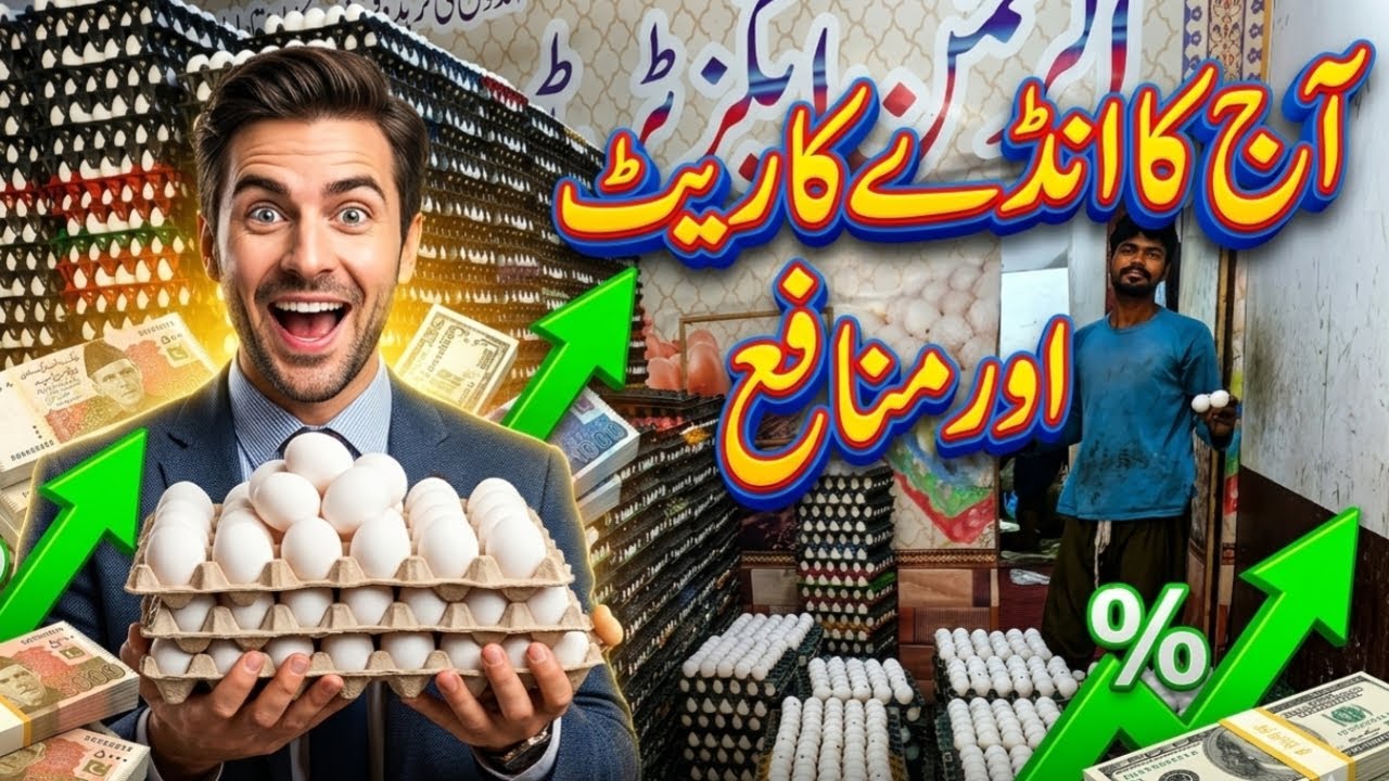 Today Egg Rate in Pakistan &ndash; Profit in Egg Business | Latest Poultry Market Price