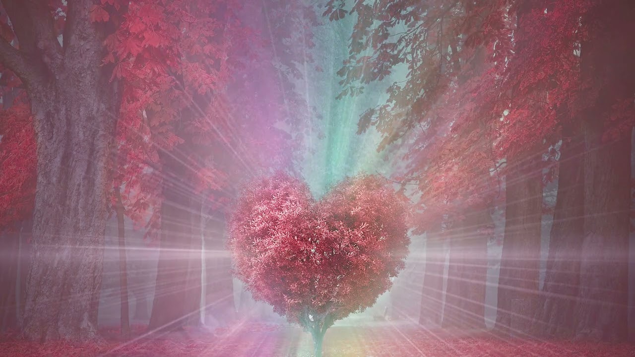 Guided Meditation | Safety and Protection | Mei-lan