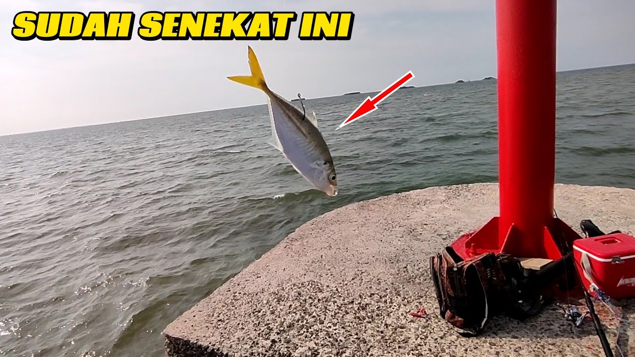 NGAK NYANGKA..!! HARI INI SEMUA IKAN DI DAM MERAH BISA DI BAWA PULNANG