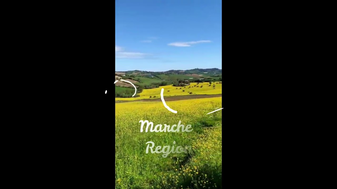 Spring's holidays in italy, Marche Region , Fields of flowers in Italy, what to see in italy?