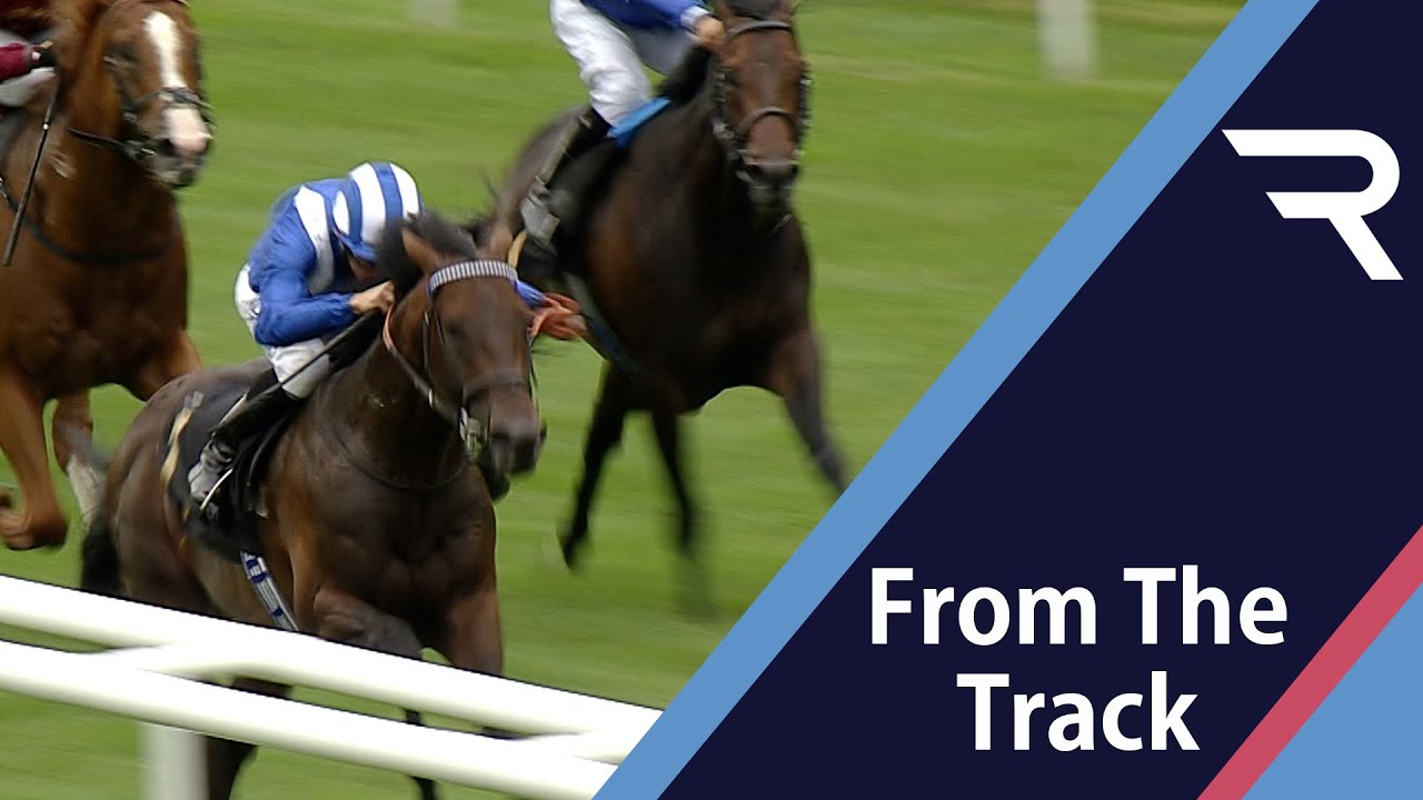 HOW GOOD COULD THIS HORSE BE? Baaeed is two from two after this eyecatching victory at Headquarters