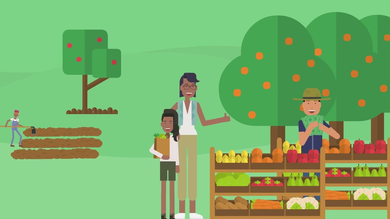 Farmlike Demo Video: Ever wondered how to increase Farmers income?