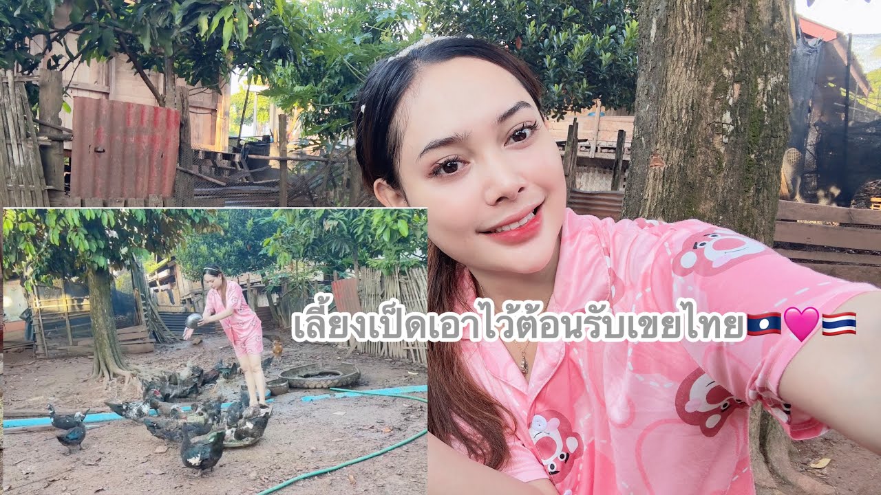 เมื่อแม่บ่นอยากได้ลูกเขยคนไทย🇹🇭จนต้องเลี้ยงเป็ดเลี้ยงไก่ไว้ต้อนรับ😂#ทีมงานบ้านนา #สาวลาว #สปปลาว🇱🇦