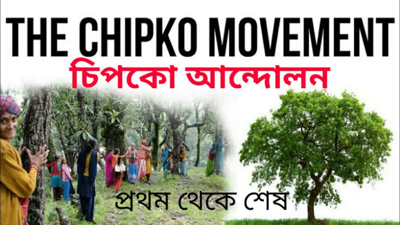 চিপকো আন্দোলনের ইতিকথা I BACKGROUND OF CHIPKO MOVEMENT IN INDIA