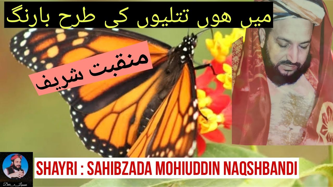 Mein hoon titlion ki tarhan barang || manqabat 2025 || Lasani Sarkar ||@Dar_e_Lasani 