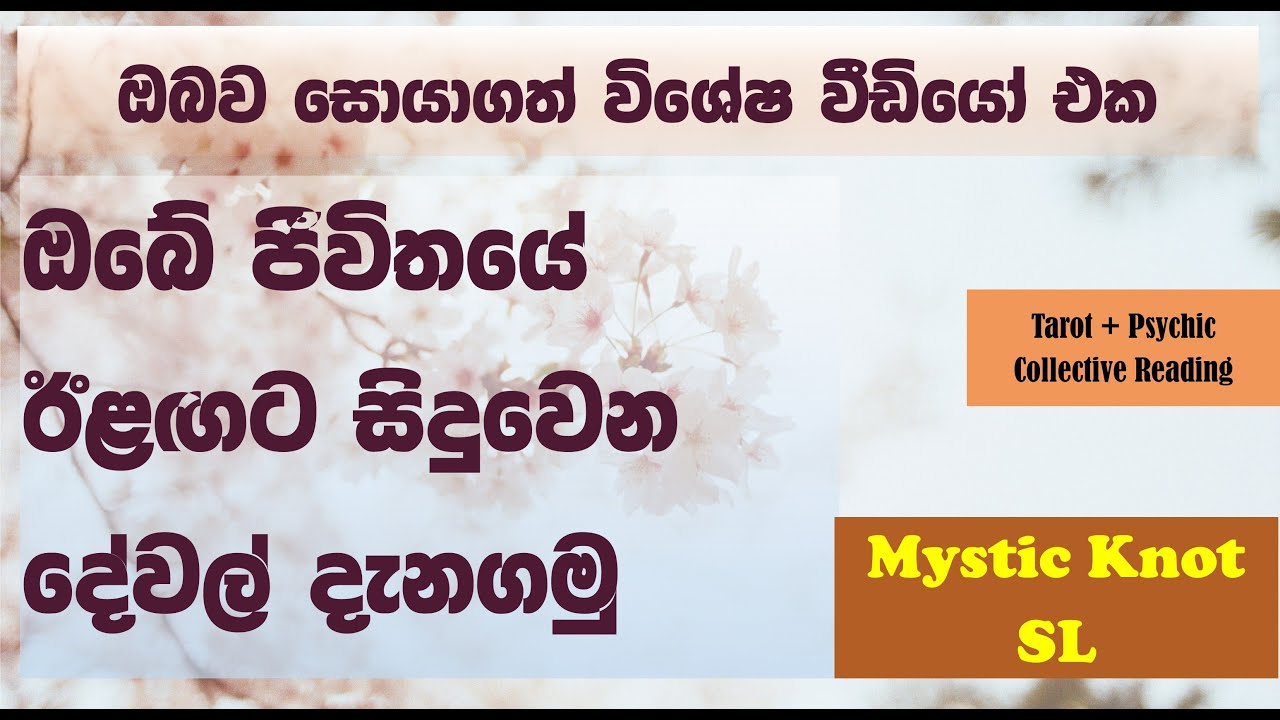 ඔබේ ජීවිතයේ ඊළඟට සිදුවන විශේෂ දේවල් දැනගමු  |Collective reading #tarot #collectivereading #psychic