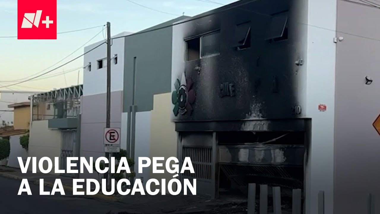 Violencia en Sinaloa: Reubican a estudiantes por inseguridad - Despierta