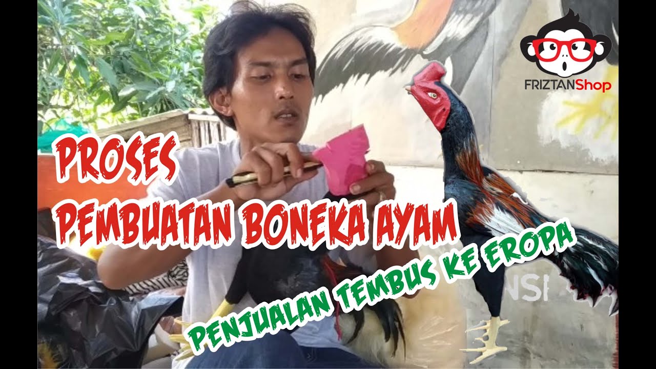Sekilas Cara Pembuatan Boneka Ayam Aduan | Boneka Ayam Untuk Melatih Fisik Ayam Aduan