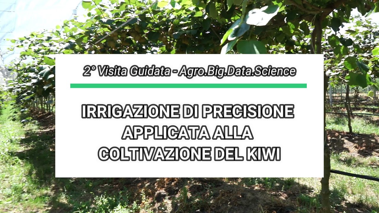 Irrigazione di precisione applicata alla coltivazione del kiwi
