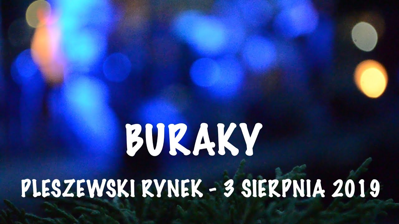 Buraky w Pleszewie