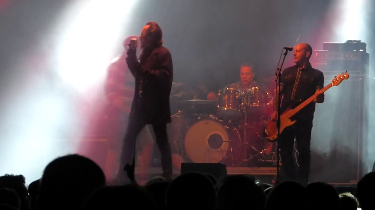 THE DAMNED - I just can't be happy today (live @Primavera Sound) (1-6-2017)
