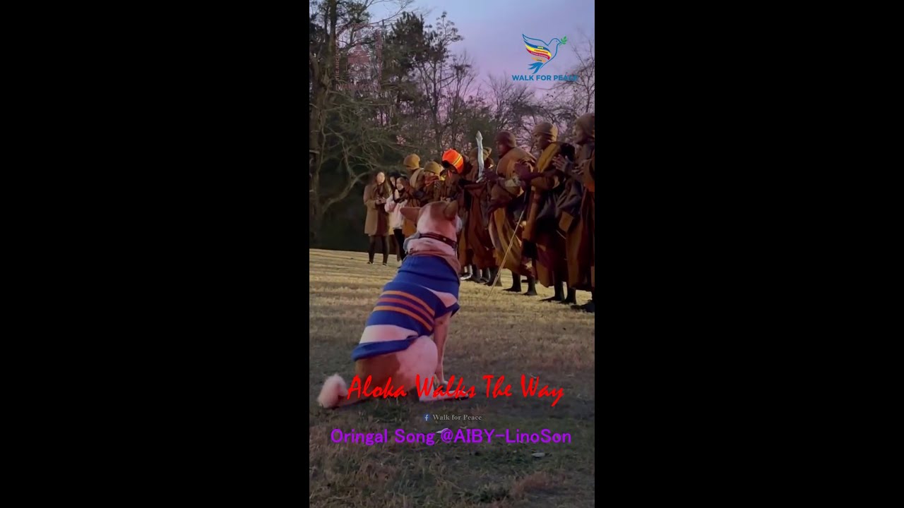 Aloka, The Peace Dog, Walks The Way | Walk For Peace
