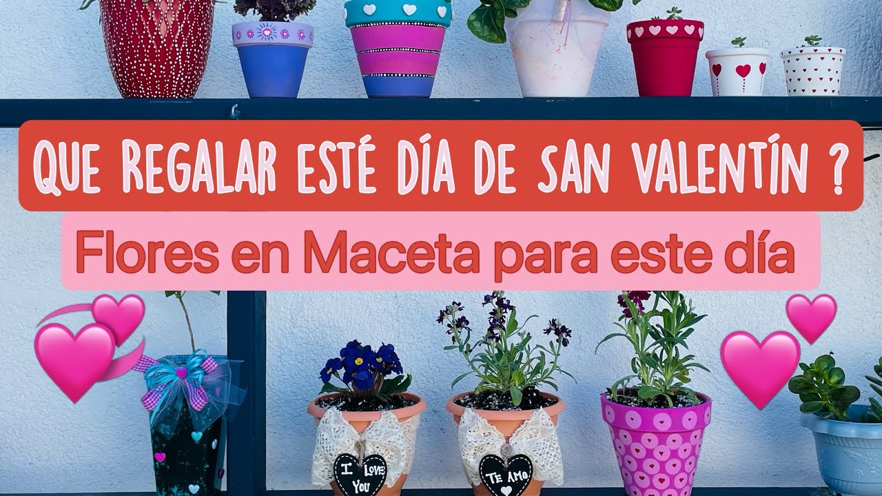 Que Regalar esté Día de San Valentín ?  #floresenmacetaparaestedia #14feb  #decoracion #valentines