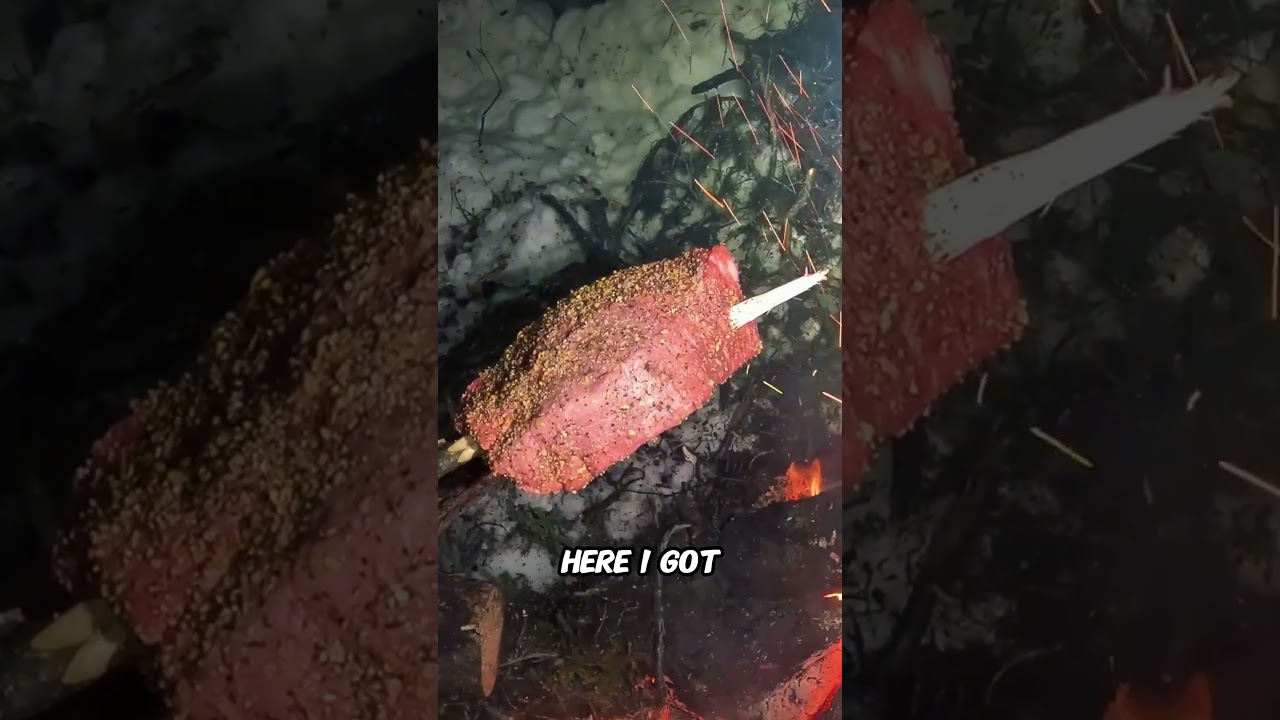 Barely Cooking 800$ Steak In Frozen Alaskan Forest