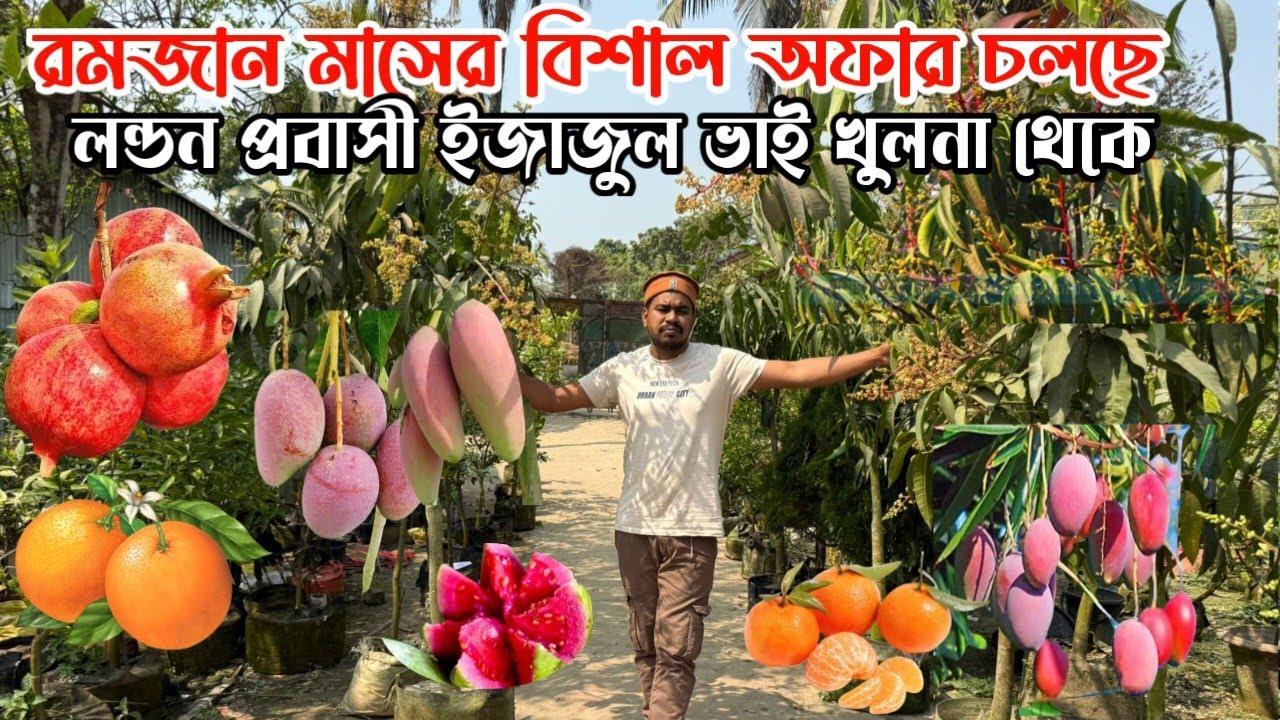 লন্ডন প্রবাসী ইজাজুল ভাই মকুল সহ বিভিন্ন ধরনের বিদেশি আম বিভিন্ন মাল্টার জাত ফুল সহ রমজান মাসে অফার