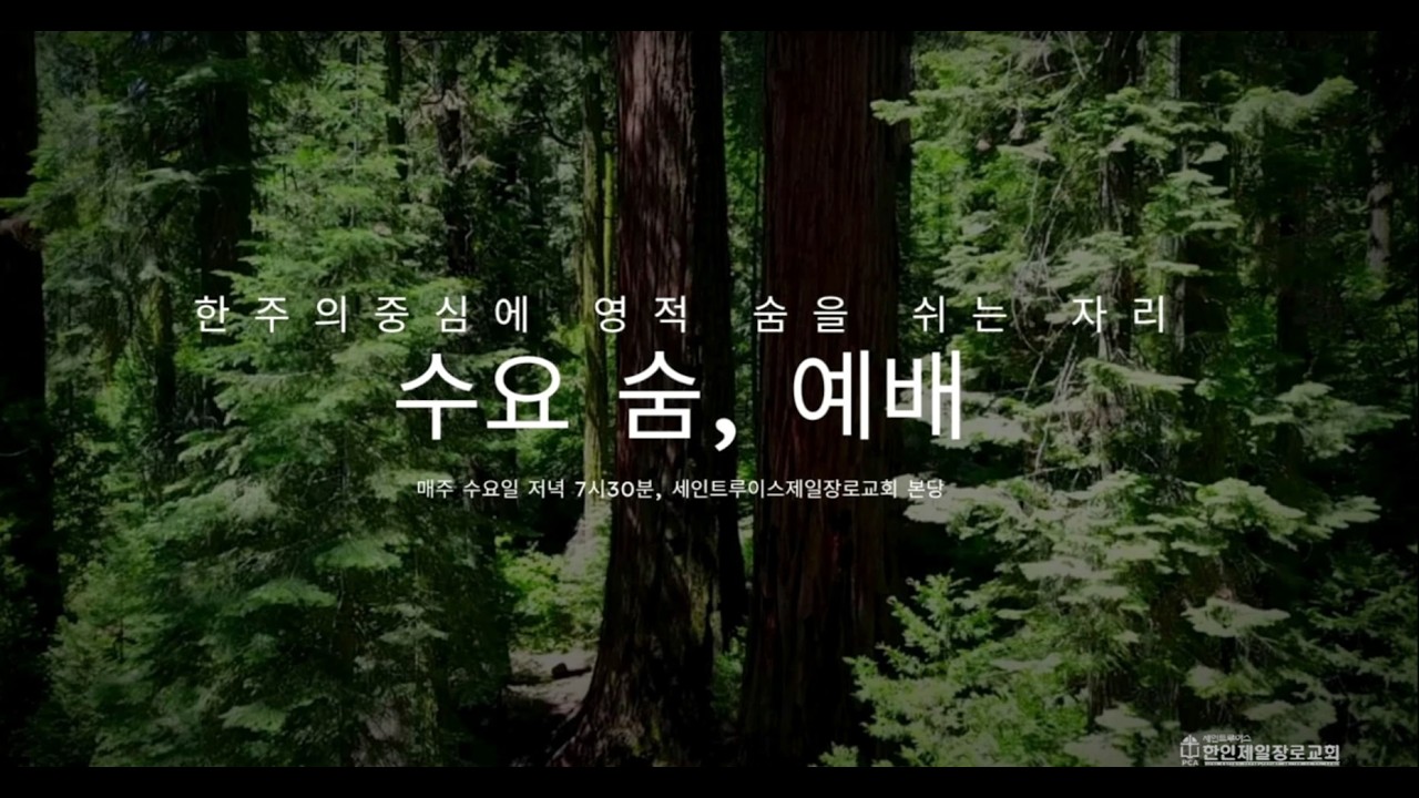 [2026년 2월 11일] 수요 숨, 예배 - 춤추는 삶 (창세기32:28)
