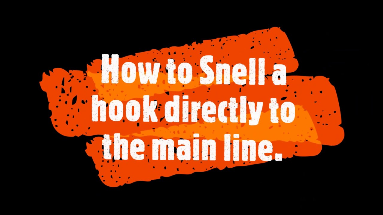 How to tie a Snell knot to mainline