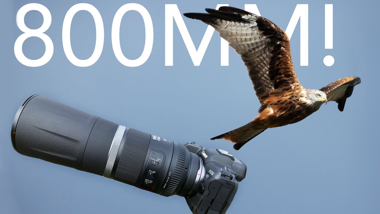 Практический обзор Canon RF 800mm f11 в формате 4K &mdash; отличный вариант или полный отстой?