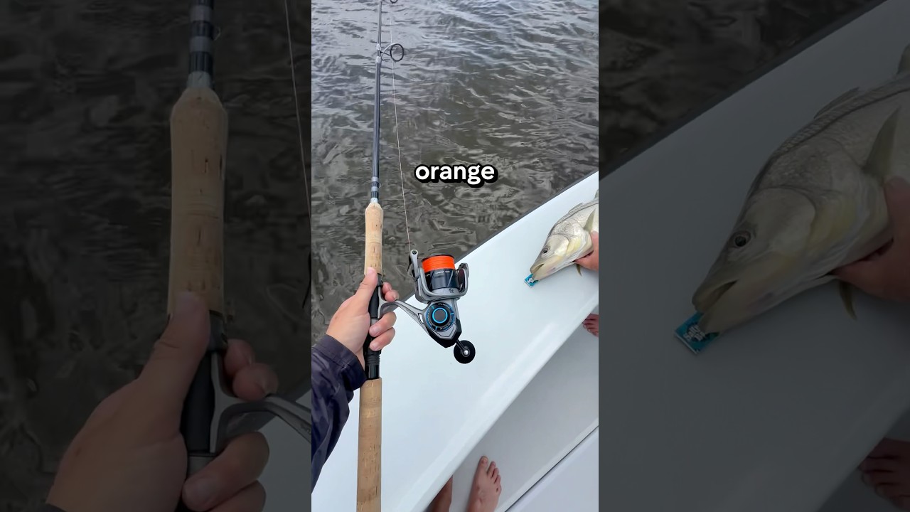 Best Braid Equals Big Fish! 🔥🍊 #fishing #fishingcontent #fishingviral