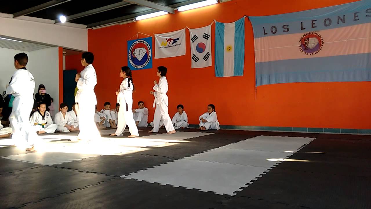 Examen  TKD WTF cinturón blanco.