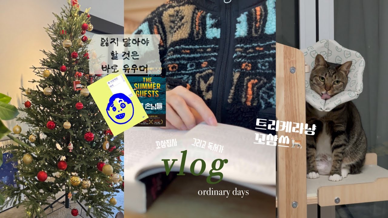 vlog | 독서브이로그 | 그래놀라 걸은 모르겠고 그래놀라는 맛있지 | 꽤 낙천적인 아이 | 트리케라냥 본 적 있어? | 꼬마고양이와 함께하는 일상 | ordinary days