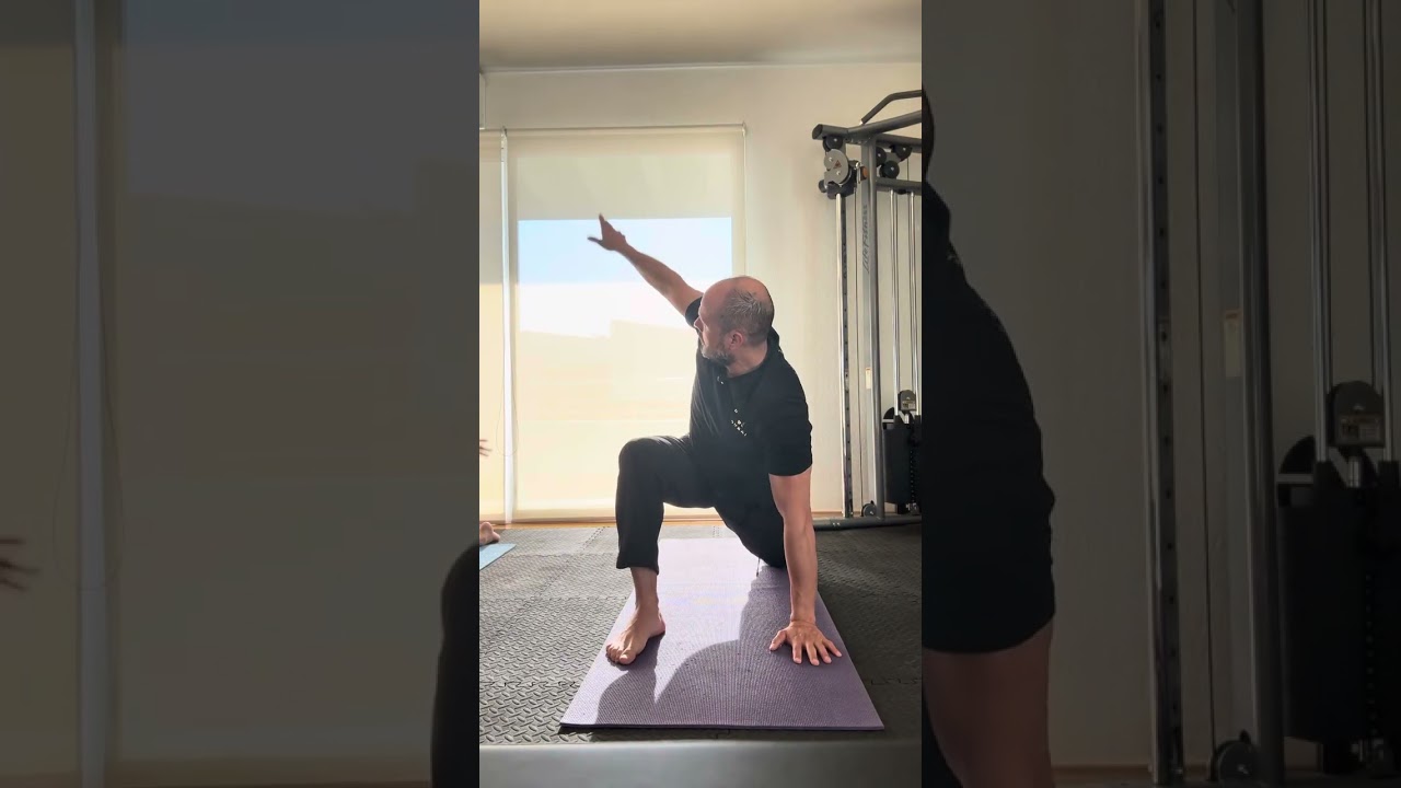 PRIMAL MOVEMENT HIP