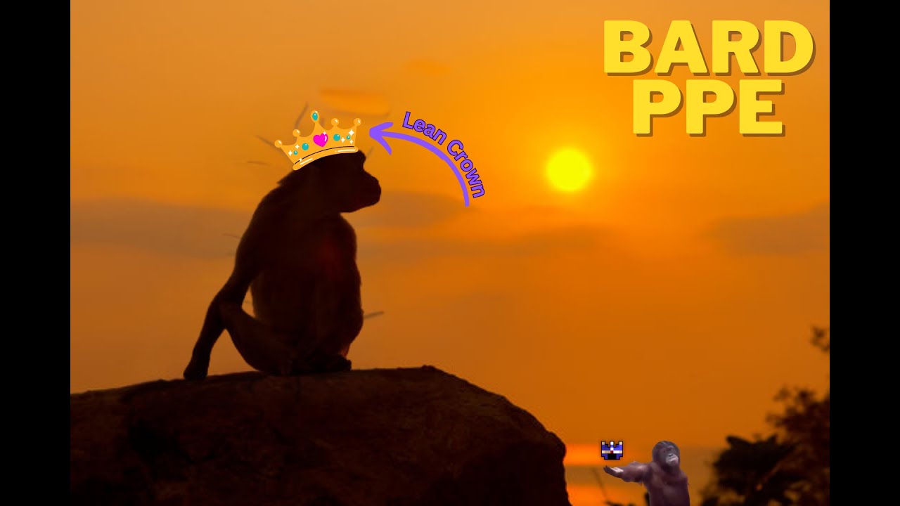 The 2 day bard PPE | ROTMG