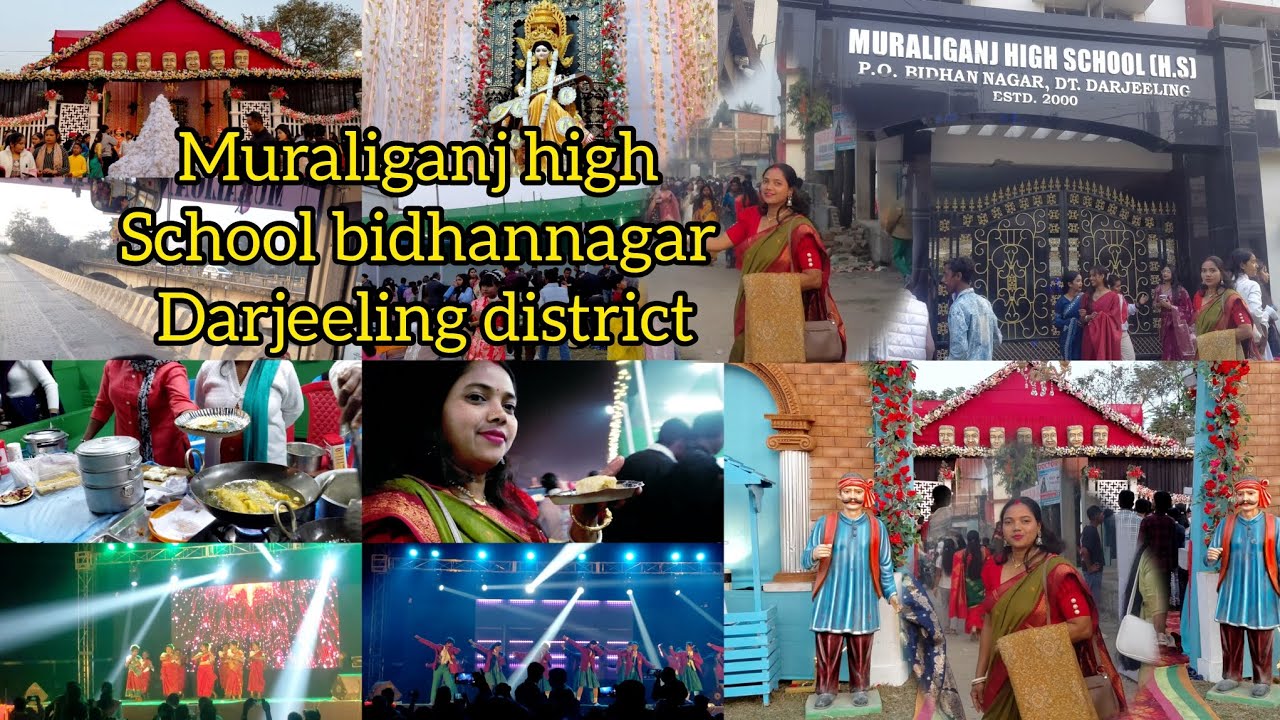 সরস্বতী পূজাতে স্কুলে খাবারের স্টল দারুন টেস্টি ভেজ রোল খেলাম #bengalivlog