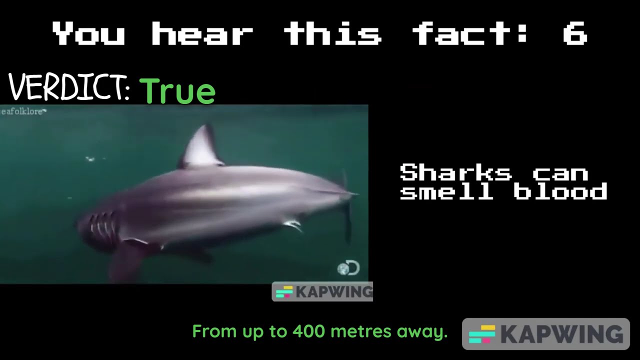 Correcting MIBU Facts Episode 22