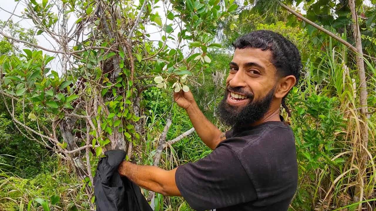 Discovering The White Tagimoucia (Medinilla Flower) Only Found In Matasawalevu Village, Kadavu🏝️🇫🇯