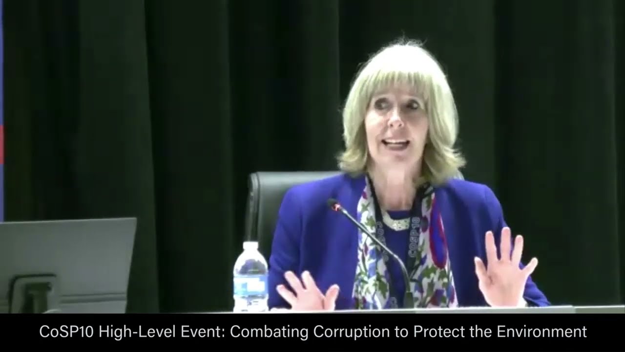 Combating corruption to protect the environment: High-level event at CoSP 10